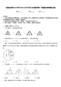 安徽省合肥市42中学2023-2024学年八年级数学第一学期期末调研模拟试题含答案