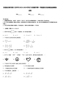 安徽省合肥市四十五中学2023-2024学年八年级数学第一学期期末质量跟踪监视模拟试题含答案