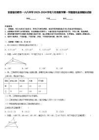 安徽省合肥市一六八中学2023-2024学年八年级数学第一学期期末监测模拟试题含答案