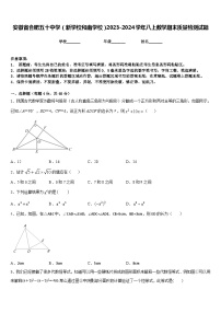 安徽省合肥五十中学（新学校和南学校）2023-2024学年八上数学期末质量检测试题含答案