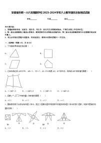 安徽省合肥一六八玫瑰园学校2023-2024学年八上数学期末达标测试试题含答案