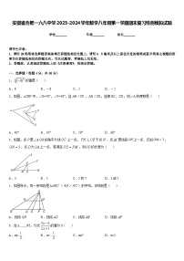 安徽省合肥一六八中学2023-2024学年数学八年级第一学期期末复习检测模拟试题含答案