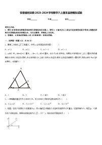 安徽省利辛县2023-2024学年数学八上期末监测模拟试题含答案