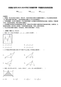 安徽省六安市2023-2024学年八年级数学第一学期期末达标测试试题含答案