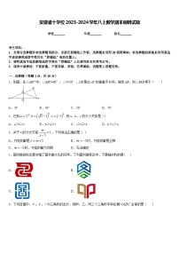 安徽省十学校2023-2024学年八上数学期末调研试题含答案