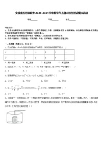 安徽省五河县联考2023-2024学年数学八上期末综合测试模拟试题含答案