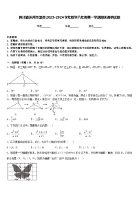 四川省达州市渠县2023-2024学年数学八年级第一学期期末调研试题含答案