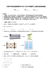 天津市宁河区北淮淀镇中学2023-2024学年数学八上期末达标检测试题含答案