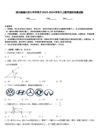 四川省锦江区七中学育才2023-2024学年八上数学期末经典试题含答案