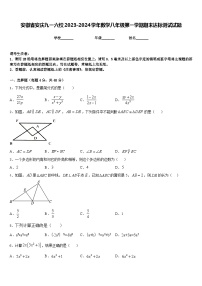 安徽省安庆九一六校2023-2024学年数学八年级第一学期期末达标测试试题含答案