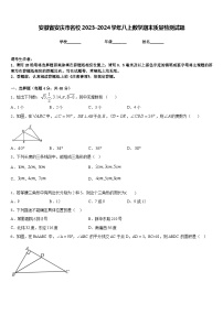 安徽省安庆市名校2023-2024学年八上数学期末质量检测试题含答案