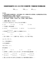 安徽省蚌埠局属学校2023-2024学年八年级数学第一学期期末复习检测模拟试题含答案