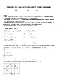 安徽省蚌埠市名校2023-2024学年数学八年级第一学期期末考试模拟试题含答案