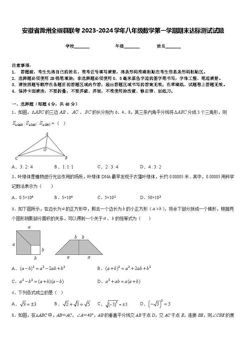 安徽省滁州全椒县联考2023-2024学年八年级数学第一学期期末达标测试试题含答案第1页