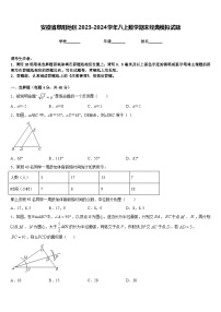 安徽省阜阳地区2023-2024学年八上数学期末经典模拟试题含答案