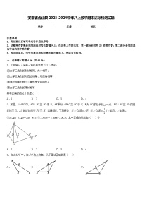 安徽省含山县2023-2024学年八上数学期末达标检测试题含答案