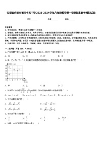 安徽省合肥市第四十五中学2023-2024学年八年级数学第一学期期末联考模拟试题含答案