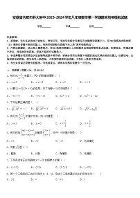 安徽省合肥市科大附中2023-2024学年八年级数学第一学期期末统考模拟试题含答案