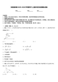 安徽省和县2023-2024学年数学八上期末综合测试模拟试题含答案