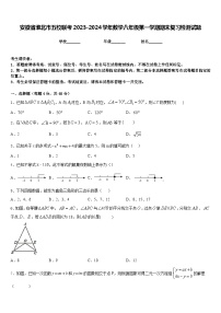 安徽省淮北市五校联考2023-2024学年数学八年级第一学期期末复习检测试题含答案