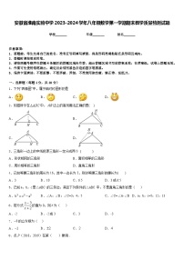 安徽省淮南实验中学2023-2024学年八年级数学第一学期期末教学质量检测试题含答案