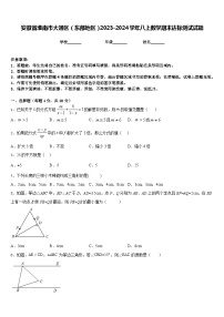 安徽省淮南市大通区（东部地区）2023-2024学年八上数学期末达标测试试题含答案