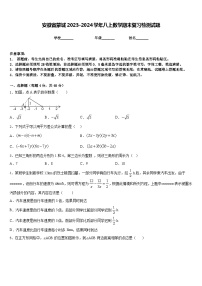 安徽省蒙城2023-2024学年八上数学期末复习检测试题含答案