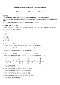 安徽省名校2023-2024学年八上数学期末统考试题含答案