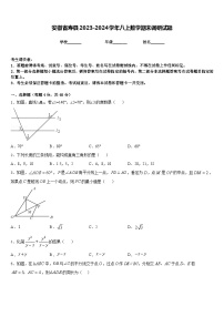 安徽省寿县2023-2024学年八上数学期末调研试题含答案