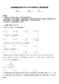 安徽省桐城实验中学2023-2024学年数学八上期末预测试题含答案