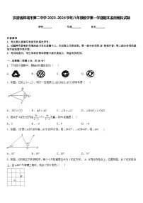 安徽省桐城市第二中学2023-2024学年八年级数学第一学期期末监测模拟试题含答案