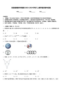 安徽省铜陵市枞阳县2023-2024学年八上数学期末联考试题含答案