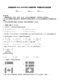 安徽省宿州市2023-2024学年八年级数学第一学期期末综合测试试题含答案