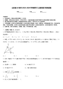 山东省16地市2023-2024学年数学八上期末复习检测试题含答案