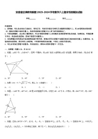 安徽省沿淮教育联盟2023-2024学年数学八上期末检测模拟试题含答案