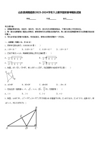 山东滨州阳信县2023-2024学年八上数学期末联考模拟试题含答案