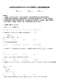 山东枣庄市实验中学2023-2024学年数学八上期末监测模拟试题含答案