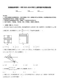 安徽省宿州市第十一中学2023-2024学年八上数学期末考试模拟试题含答案