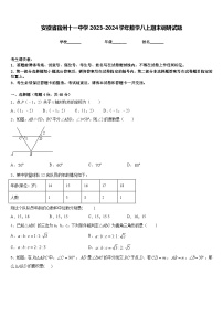 安徽省宿州十一中学2023-2024学年数学八上期末调研试题含答案