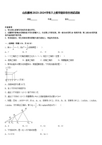 山东滕州2023-2024学年八上数学期末综合测试试题含答案