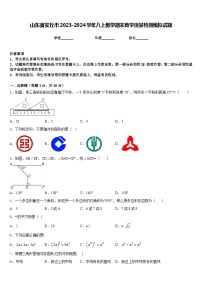 山东省安丘市2023-2024学年八上数学期末教学质量检测模拟试题含答案