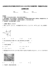 山东省安丘市红沙沟镇红沙沟中学2023-2024学年八年级数学第一学期期末学业质量监测模拟试题含答案