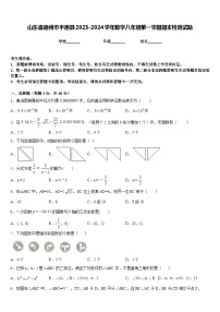 山东省德州市平原县2023-2024学年数学八年级第一学期期末检测试题含答案