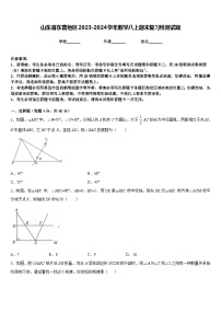 山东省东营地区2023-2024学年数学八上期末复习检测试题含答案