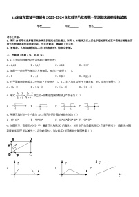 山东省东营邹平县联考2023-2024学年数学八年级第一学期期末调研模拟试题含答案