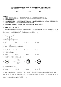 山东省东营邹平县联考2023-2024学年数学八上期末考试试题含答案