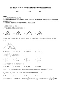 山东省冠县2023-2024学年八上数学期末教学质量检测模拟试题含答案