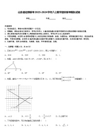 山东省冠县联考2023-2024学年八上数学期末联考模拟试题含答案