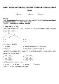 山东省广饶经济开发区乐安中学2023-2024学年八年级数学第一学期期末教学质量检测试题含答案