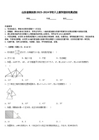 山东省惠民县2023-2024学年八上数学期末经典试题含答案